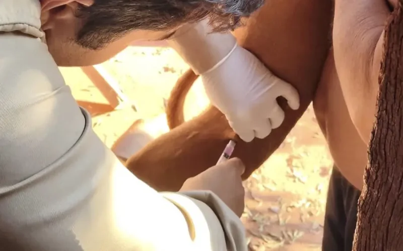 Campanha Antirrábica avança em Santa Vitória e atinge distritos e diversos bairros da zona urbana