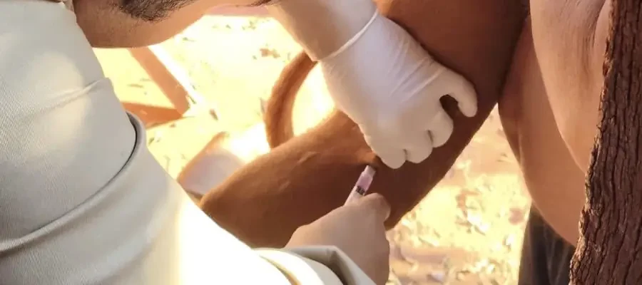 Campanha Antirrábica avança em Santa Vitória e atinge distritos e diversos bairros da zona urbana