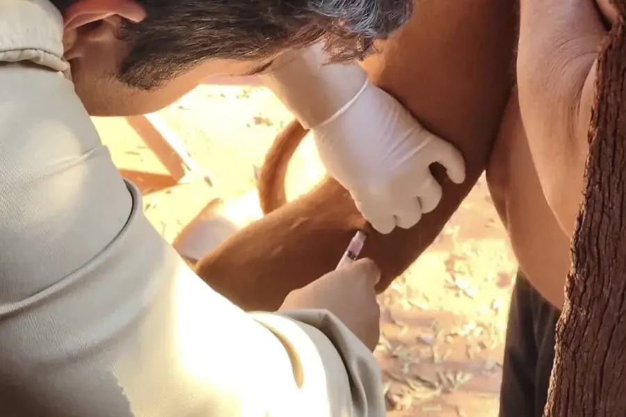 Campanha Antirrábica avança em Santa Vitória e atinge distritos e diversos bairros da zona urbana